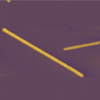 Wafer-Level Atomic Force Microscoperoscope 4