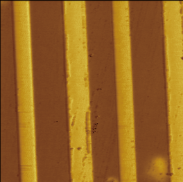 Wafer-Level Atomic Force Microscoperoscope 1