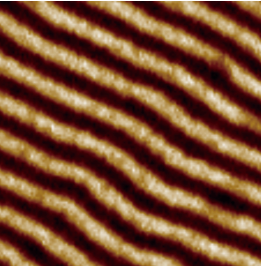 Wafer-Level Atomic Force Microscoperoscope 2