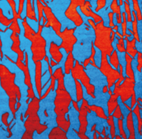 Wafer-Level Atomic Force Microscoperoscope 3